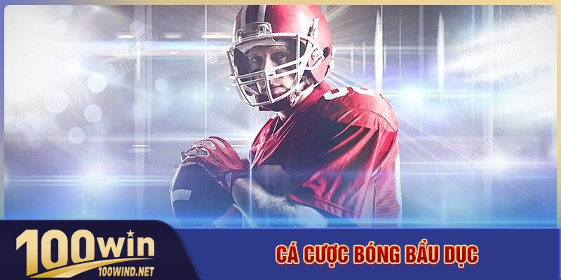 Cách cá cược bóng bầu dục đảm bảo luôn thắng cho người mới