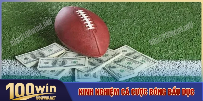 Cách cá cược bóng bầu dục để tăng khả năng thắng Cách cá cược bóng bầu dục để tăng khả năng thắng