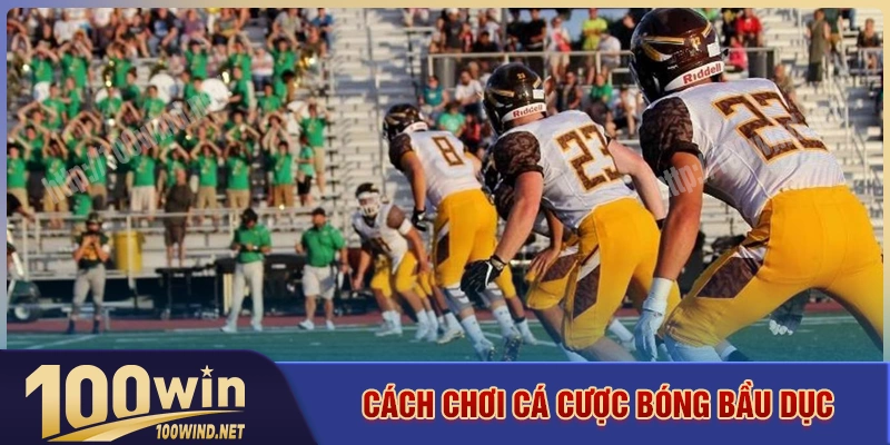 Cách cá cược bóng bầu dục tại nhà cái 100WIN Cách cá cược bóng bầu dục tại nhà cái 100WIN