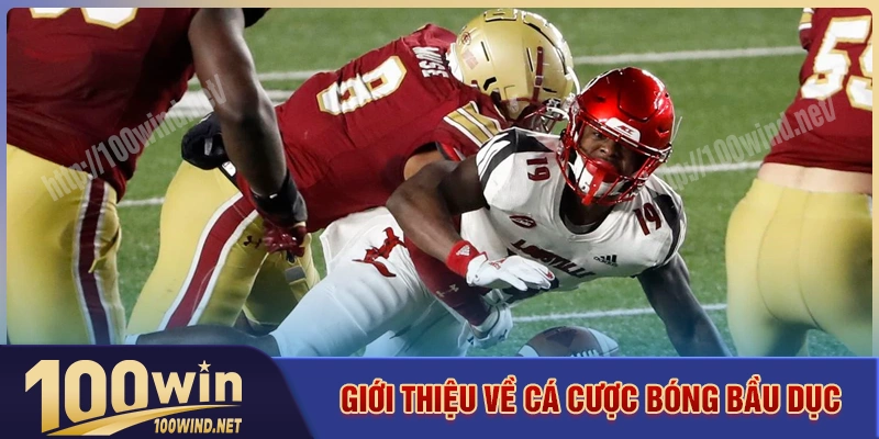 Giới thiệu tổng thể về bộ môn cá cược bóng bầu dục Giới thiệu tổng thể về bộ môn cá cược bóng bầu dục